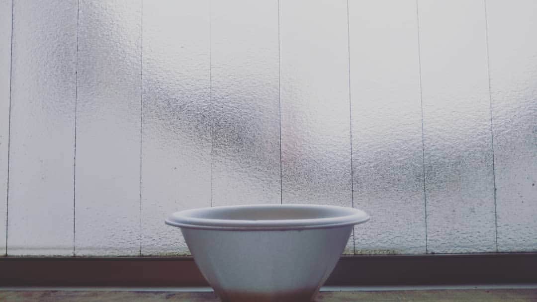 伊藤修子さんのインスタグラム写真 - (伊藤修子Instagram)「めんつゆと水と数滴の洗剤液設置してすぐですがもう3匹集まりました。よいめんつゆでないと集まってくれません。」7月23日 17時10分 - itoshuko