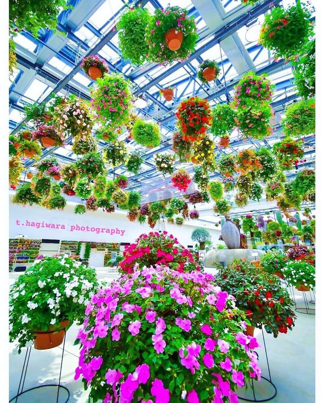 楽天トラベル のグルメインスタ