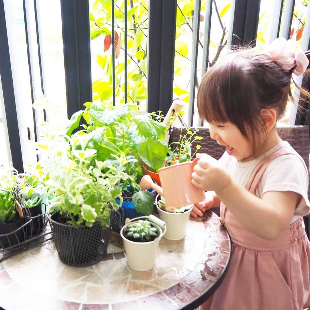 Kuboi Ayumiさんのインスタグラム写真 - (Kuboi AyumiInstagram)「食育も兼ねてハーブやちょっとした野菜を育てています。﻿ ﻿ マンションでベランダも広くないので﻿ いろいろ工夫しながら娘たちと一緒にお世話しているのですが﻿ おうち時間が増えたので簡単な肥料づくりもするように。﻿ ﻿ 一緒にお料理をして、出た野菜くずと米ぬかを土に入れるだけなのですが﻿ 生ごみも減りますし、娘たちもスコップで混ぜ混ぜ楽しそう。﻿ 野菜くずが無い時は茶殻を使ったりも。﻿ ﻿ まだ小さい娘たちですが、年々「エコ」への関心は高まるばかりなので﻿ エコバッグを持ったり、マイストローを使ったり﻿ ちょっとずつ娘たちとお話しながらエコな取り組みを実践しています。﻿ 私もまだ勉強不足なので、子どもたちと一緒に勉強していきます。﻿ ﻿ おうち時間が多いからこそできること、まだまだあると思うので﻿ 楽しみながら日常に取り入れていきたいな。﻿ ﻿ @eco_changes_mitsubishi﻿ ﻿ 三菱電機では、受賞者3名様に​﻿ 三菱ブレッドオーブンをプレゼントする​﻿ 「エコ×ステイホーム エコな取り組み投稿キャンペーン」を​﻿ 7月22日から8月31日まで実施中。​﻿ ① @eco_changes_mitsubishi をフォロー​﻿ ②「おうちでできるエコ活動」の写真を、キャンペーンハッシュタグ #三菱電機_エコ_ステイホーム をつけて投稿​﻿ ぜひ参加してみてください！​﻿ ﻿ ﻿ ﻿ #PR #三菱電機_エコ_ステイホーム #ecochanges #三菱電機 #エコチェン ジ #mitsubishielectric #三菱ブレッドオーブン #女の子ママ #eco #エコ #食育 #お手伝い #おうち時間 #おうちじかん​」7月23日 18時02分 - himekagami