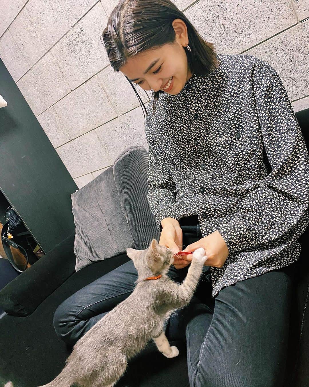 畑井咲耶さんのインスタグラム写真 - (畑井咲耶Instagram)「猫アレルギーのはずなんやけど 今んとこ反応なし🐈治ったんかな？」7月23日 18時13分 - saya_hatai