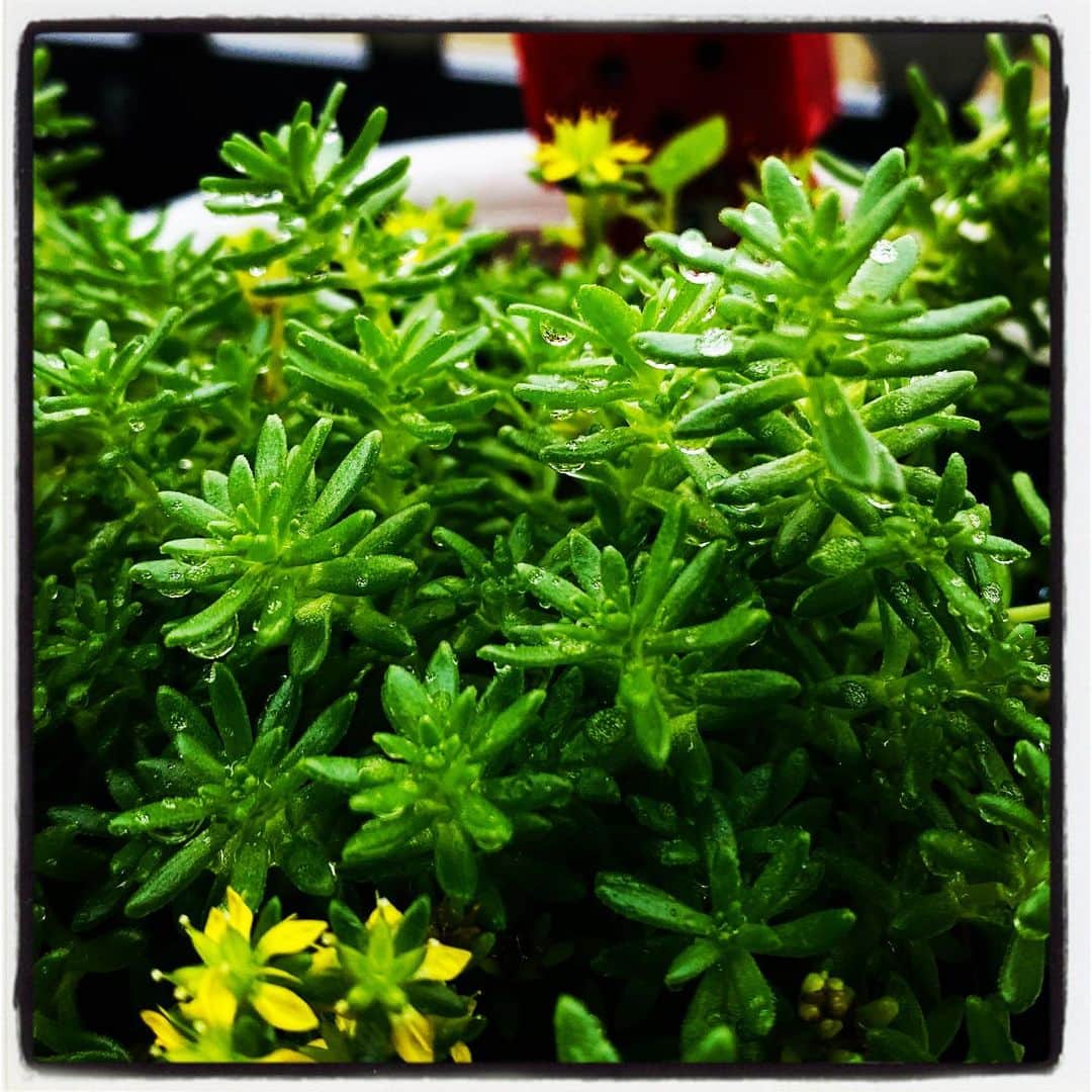 浅岡雄也のグルメインスタ