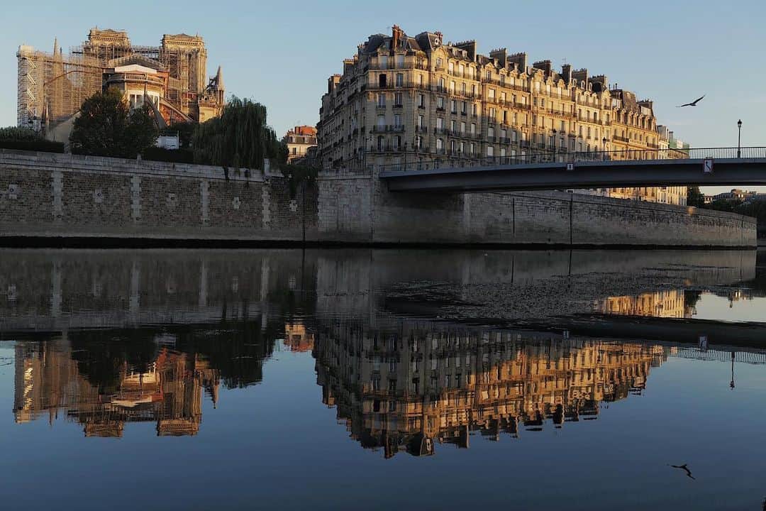 National Geographic Creativeさんのインスタグラム写真 - (National Geographic CreativeInstagram)「Photo by Tomas van Houtryve @tomasvh  The early morning is always my favorite time to visit the banks of the Seine River in Paris, just before the morning bustle of the city begins. This summer is particularly calm since the arrival of tourists from abroad has been curtailed by the COVID-19 pandemic. Bustling activity is taking place—night and day—inside the Notre-Dame cathedral however, seen on the left of this photo. Highly motivated teams of workers are still removing fire debris, melted scaffolding, and lead contamination from Notre-Dame, more than a year after a massive fire ravaged the roof and spire of the cathedral. Follow @tomasvh for more stories and images. #NotreDamedeParis #NotreDame #notredamecathedral」7月23日 18時58分 - natgeointhefield