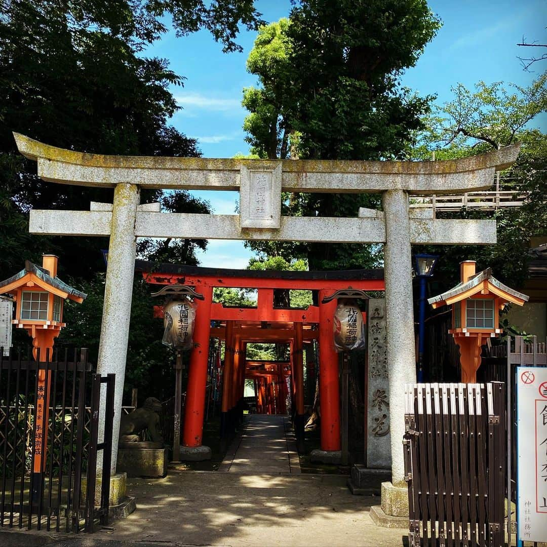 関口愛美さんのインスタグラム写真 - (関口愛美Instagram)「好きなところ。上野公園の中の花園稲荷神社。 鳥居をくぐっていくと、なんだかここだけ別の空気が流れてるような感じがします…✨  #上野公園 #花園神社 #上野花園稲荷神社 #花園稲荷神社 #japanshrine #shrine #神社 #鳥居 #稲荷神社 #上野 #ueno #穴稲荷」7月23日 18時58分 - sekiguchiaimi