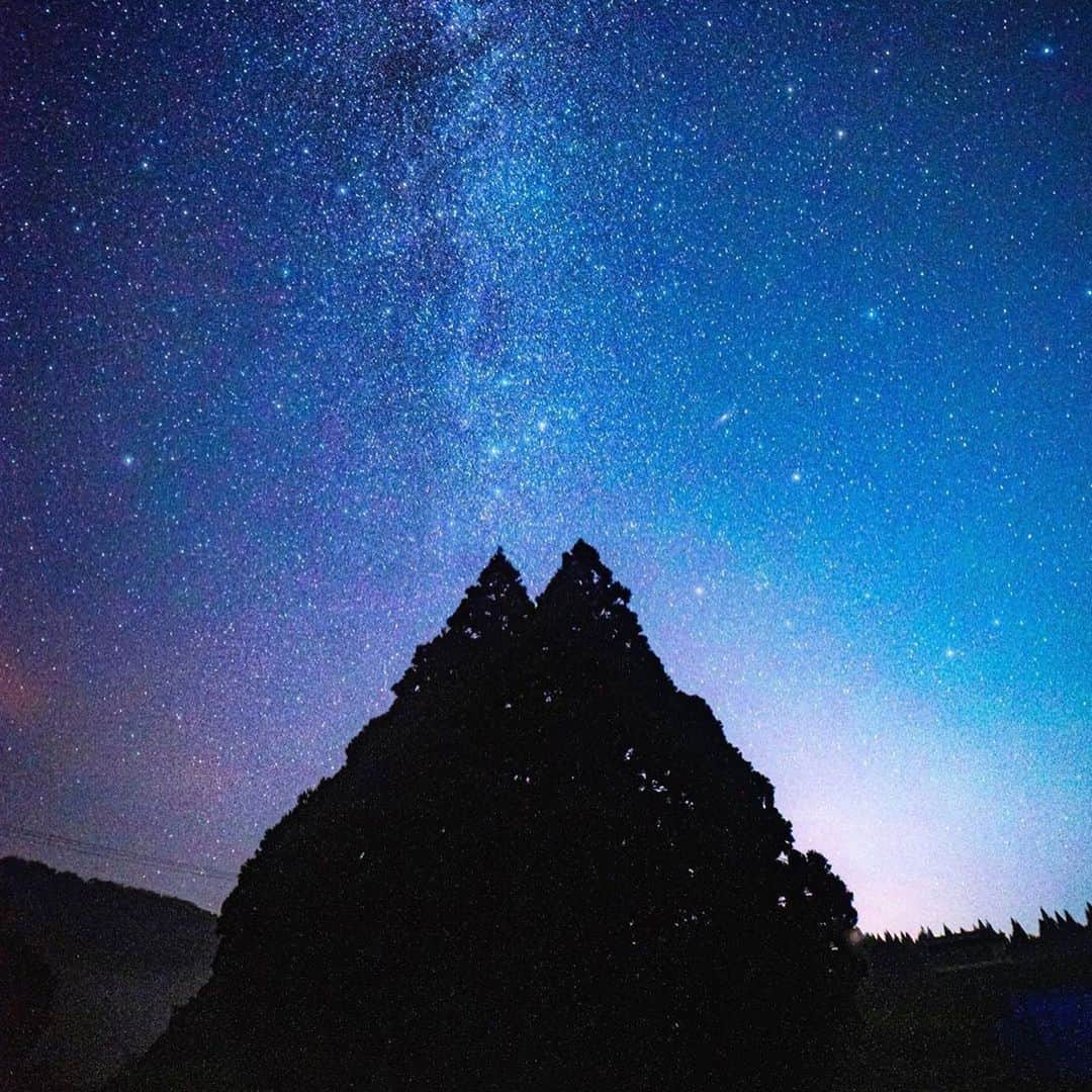 9GAGさんのインスタグラム写真 - (9GAGInstagram)「Totoro tree 📸  @bonpon511, @ghibli24_7, @yusa__style_ 📍 Sakegawa, Yamagata, Japan - #totoro #トトロの木 #japan #9gag」7月23日 19時00分 - 9gag