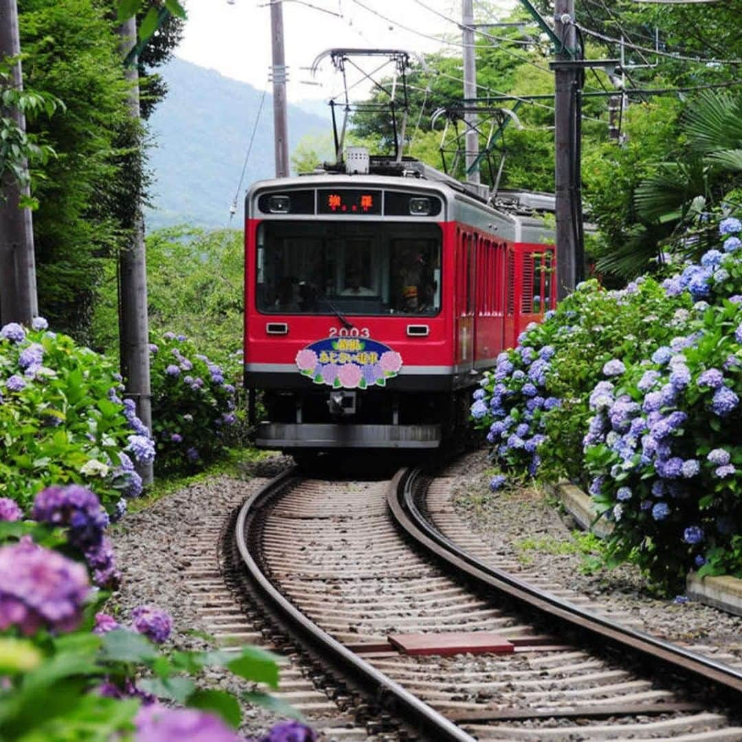 メルヴェール箱根強羅【公式】のインスタグラム：「【お帰りなさい！！箱根登山鉄道】 メディアでも話題の通り、本日7/23(木)より登山鉄道が箱根湯本～強羅間での運転を再開いたしました🎉 . 昨年10月の台風の被害が大きく、約9か月間運休していた登山鉄道ですがまたトレードマークの赤い車体が強羅を走る姿を見ることができ 元気をもらったような気がします！ . 世間ではまだまだ暗いニュースが流れておりますが、箱根では登山鉄道復活を皮切りに活気を取り戻してきています✨ 『ゴールデンコース』と呼ばれる箱根観光の王道ルートもこれでやっと復活し、あとは新型コロナウイルスの感染拡大が収束することを祈るばかり… . 感染症予防には十分に努めながら、 また多くのお客様に足を運んでいただけるよう スタッフ一同日々精進してまいります。 今後とも倍旧のお引き立てを賜りますようお願い申し上げます。 . ■当館の感染症予防に関する最新情報はこちらから ⇒https://yadolabo.com/news/covid-19/ . #箱根#温泉#登山鉄道#箱根登山鉄道#ロマンスカー#小田急#温泉巡り#メルヴェール箱根強羅#メルヴェール#強羅#箱根湯本#ひとり旅#女子旅#夏旅#夏休み#家族旅行#旅#旅館#温泉デート #温泉女子#コロナに負けない#明るい未来#頑張ろう箱根#旅行好きな人と繋がりたい」