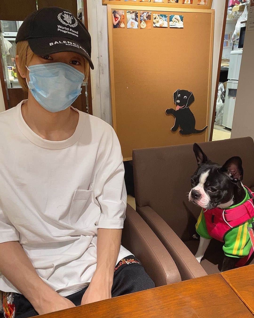 Ｍ君のインスタグラム：「不仲説流れてそうなM君とぱく #一緒にご飯食べに行った #犬」