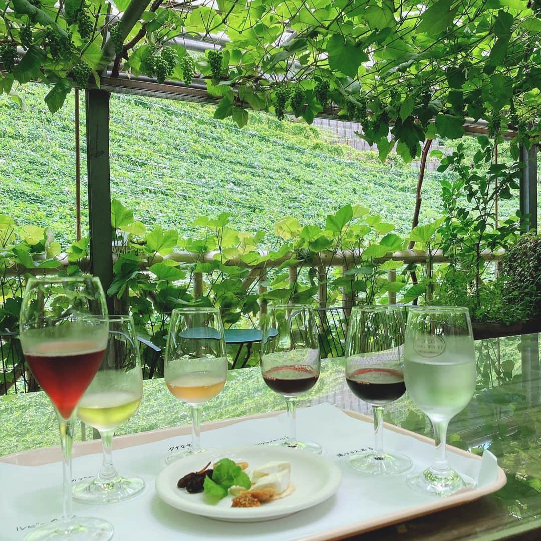 milleprintemps Japanのグルメインスタ