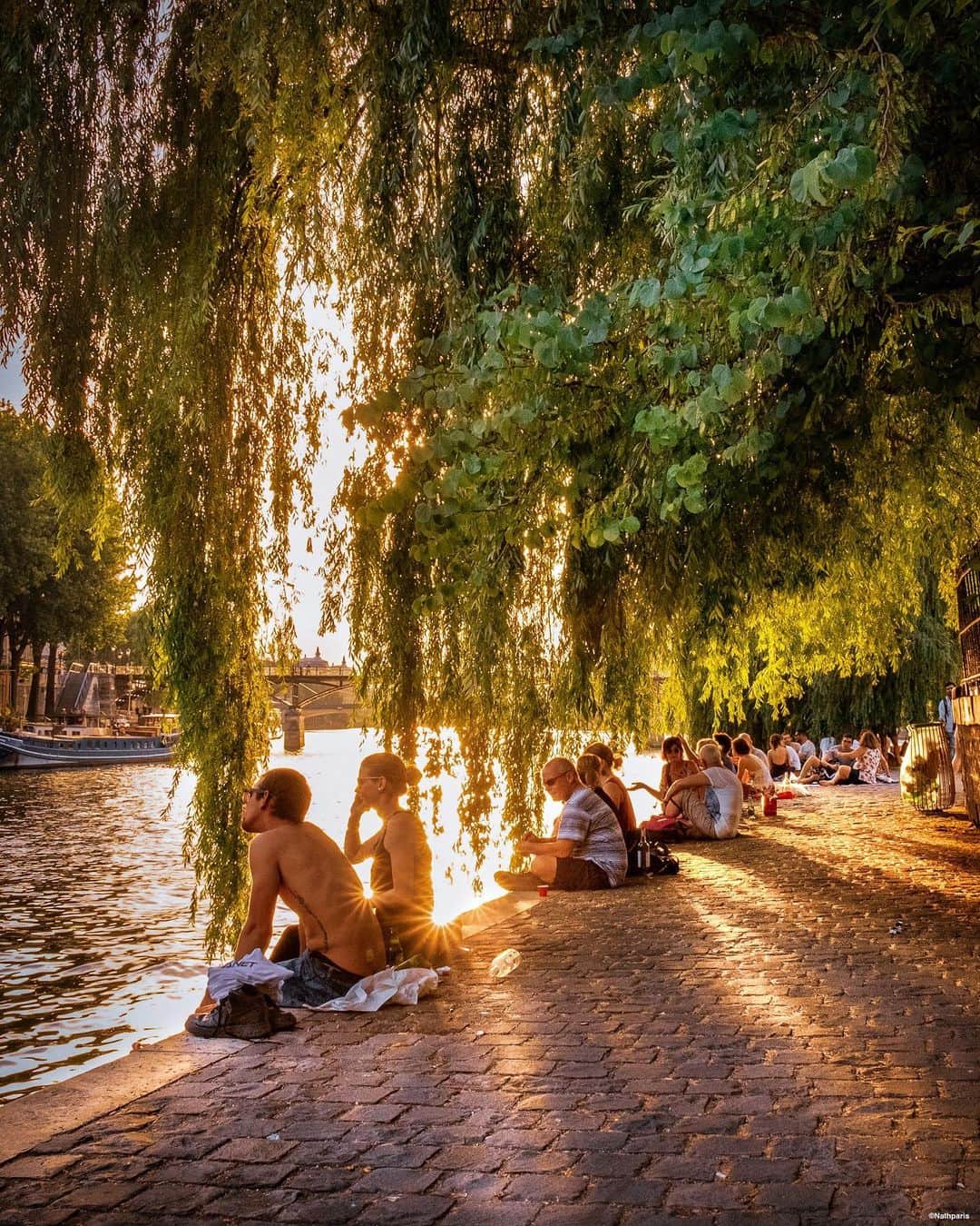 nathparisのインスタグラム：「FREEDOM ✨... . Petit moment de liberté sur les bords de Seine 💛 . Little moment of freedom on the banks of the Seine 💛」