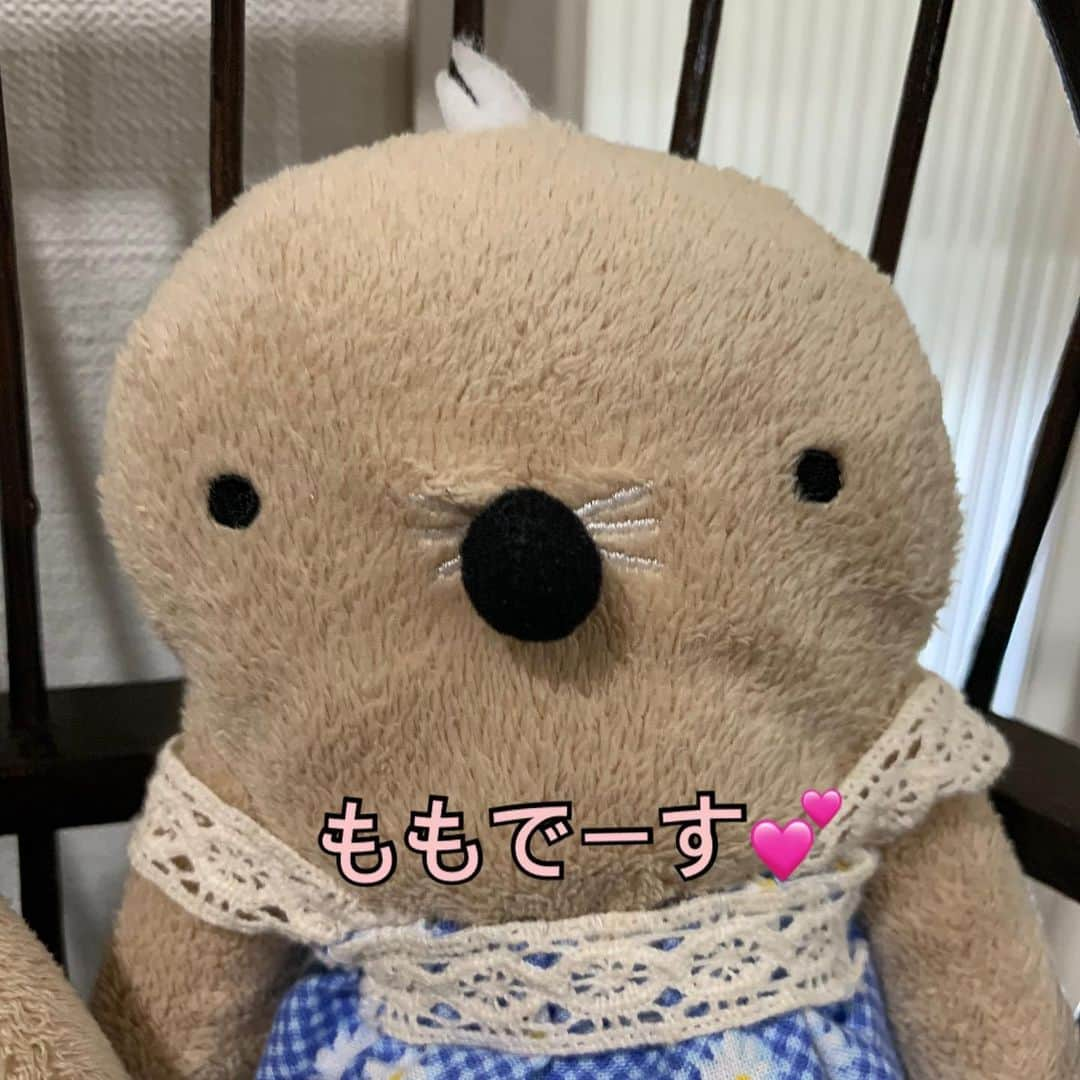 江口ともみさんのインスタグラム写真 - (江口ともみInstagram)「昼間お空見上げてたのは「もこちゃん」でしたー‼️  違いは目や頭の毛のチョンボリ😂  そして今夜東京のわたしの家からは薄雲が多くてネオワイズ彗星見えませんでした💦残念  #fumofumosan #フモフモさん  #もぐぐ#正解は #空#ネオワイズ彗星」7月19日 23時15分 - tomomin.eguchi