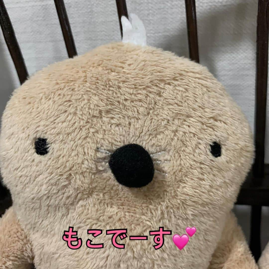 江口ともみさんのインスタグラム写真 - (江口ともみInstagram)「昼間お空見上げてたのは「もこちゃん」でしたー‼️  違いは目や頭の毛のチョンボリ😂  そして今夜東京のわたしの家からは薄雲が多くてネオワイズ彗星見えませんでした💦残念  #fumofumosan #フモフモさん  #もぐぐ#正解は #空#ネオワイズ彗星」7月19日 23時15分 - tomomin.eguchi