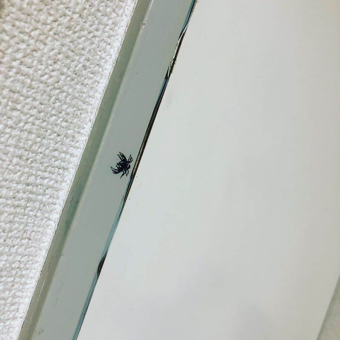 井上緑のインスタグラム