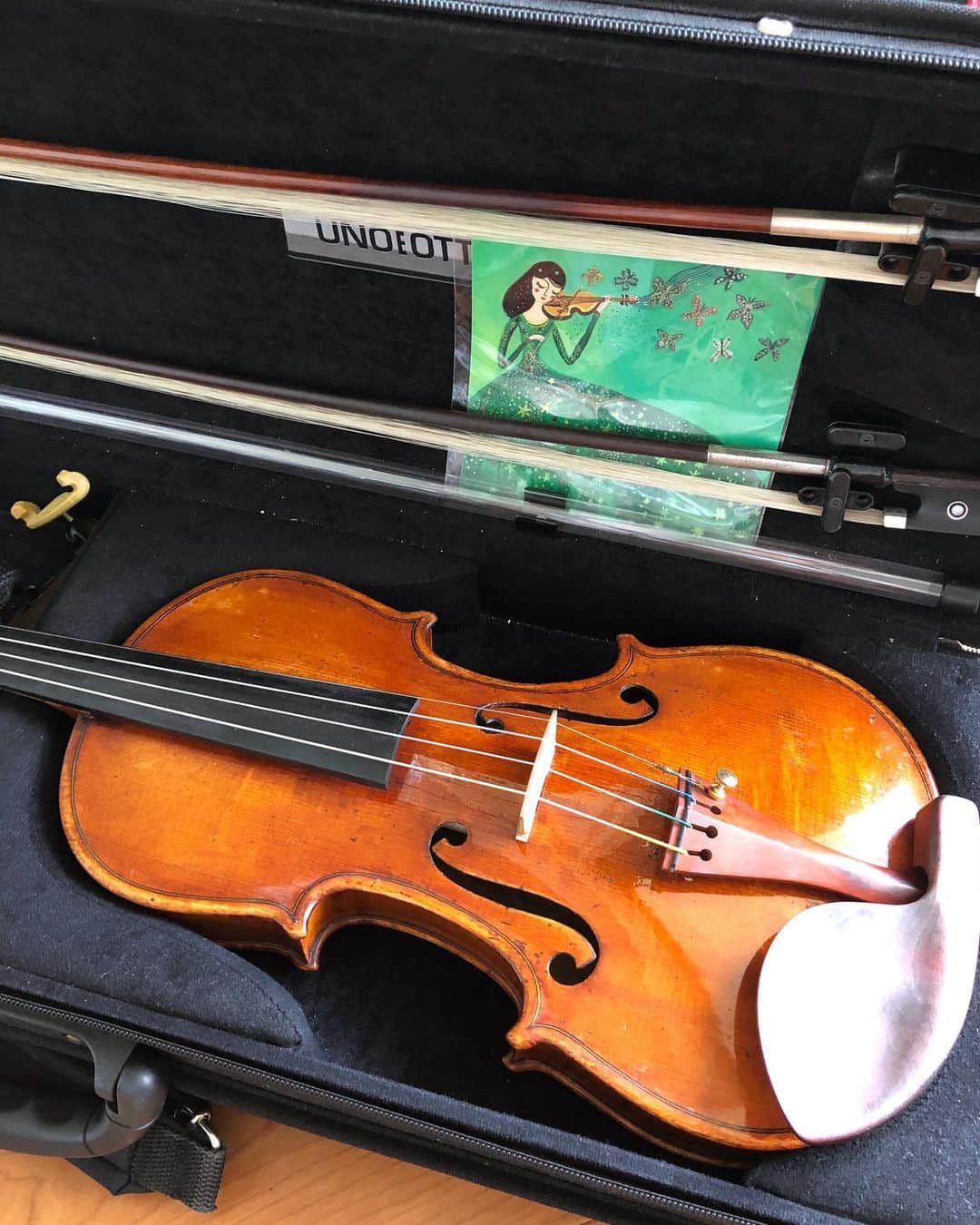 牧山純子さんのインスタグラム写真 - (牧山純子Instagram)「我が相棒のバイオリンちゃん🎻楽器屋さんからピカピカになって帰ってきました✨なんだか嬉しい☺️ #violin  #バイオリン #メンテナンス #ピカピカ」7月19日 16時37分 - junko.violin1202