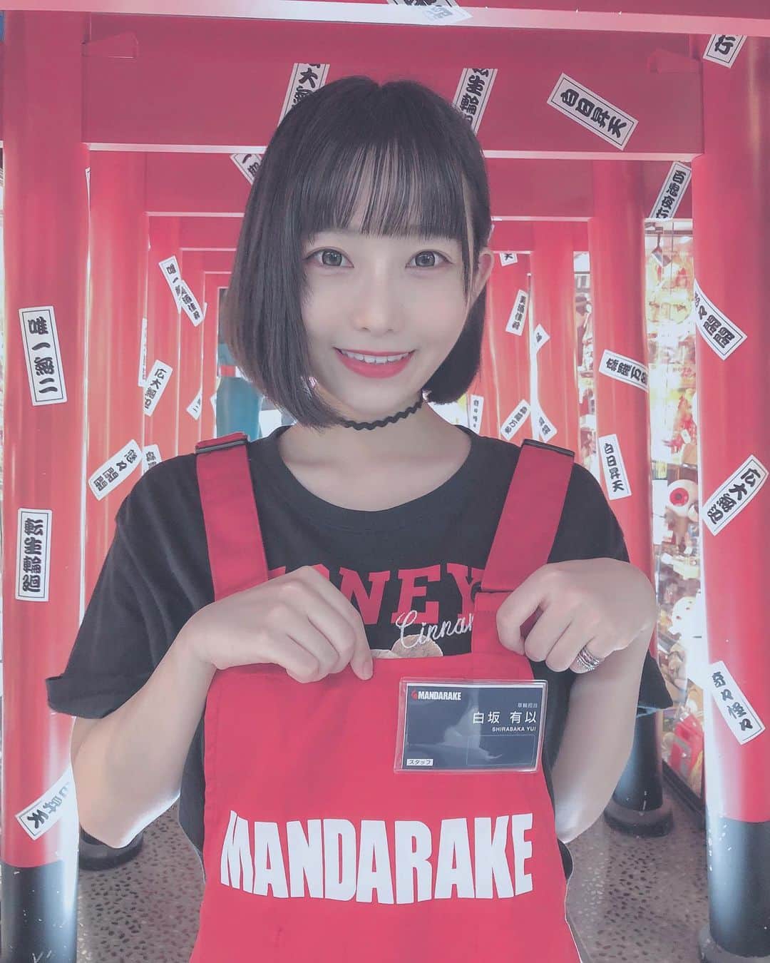 白釈迦遺のグルメインスタ