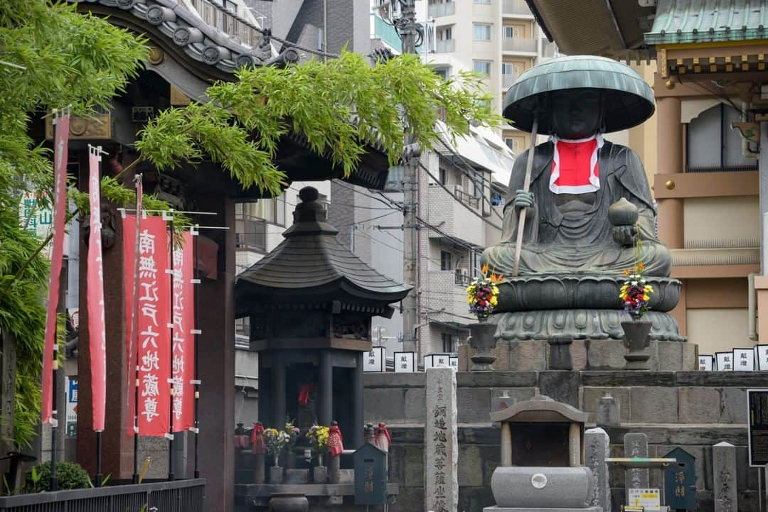 東京都庁広報課さんのインスタグラム写真 - (東京都庁広報課Instagram)「「真性寺（豊島区）／Shinshouji (2020.6.25撮影)」最寄駅：巣鴨駅 　#巣鴨 #巣鴨グルメ #巣鴨カフェ #巣鴨地蔵通り商店街 #江戸六地蔵 #高岩寺 #街並み  #tokyotokyo #tokyogram #moodygrams #jp_gallery #ptk_japan #gdayjapan #realtokyo #beautifuldestinations #tokyojapan #instatokyo #loves_nippon #phos_japan #bestjapanpics #cooljapan #japan_of_insta #photo_jpn #illgrammers #景色 #東京 #Tokyo #东京 #도쿄 #tokyogood」7月19日 17時00分 - tocho_koho_official