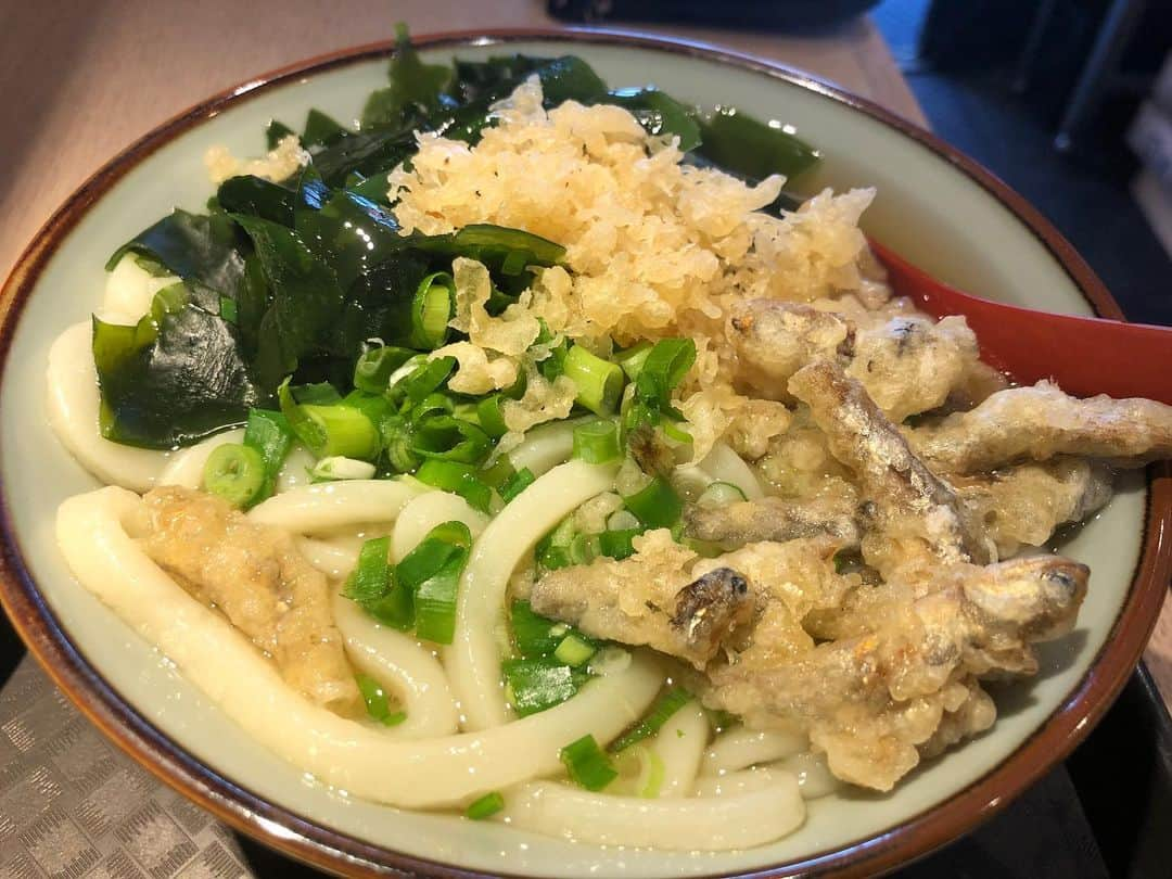 やまだひさしさんのインスタグラム写真 - (やまだひさしInstagram)「孤独のグルメ ワカメうどん 初来店。 煮干し天ぷらと天かす入れ放題。 スープは美味しかったけど麺が好みの硬さじゃないんだよなぁ。 #やまだひさし #ラジオ　#DJ #グルメ　#うどん」7月19日 17時18分 - yamadamic