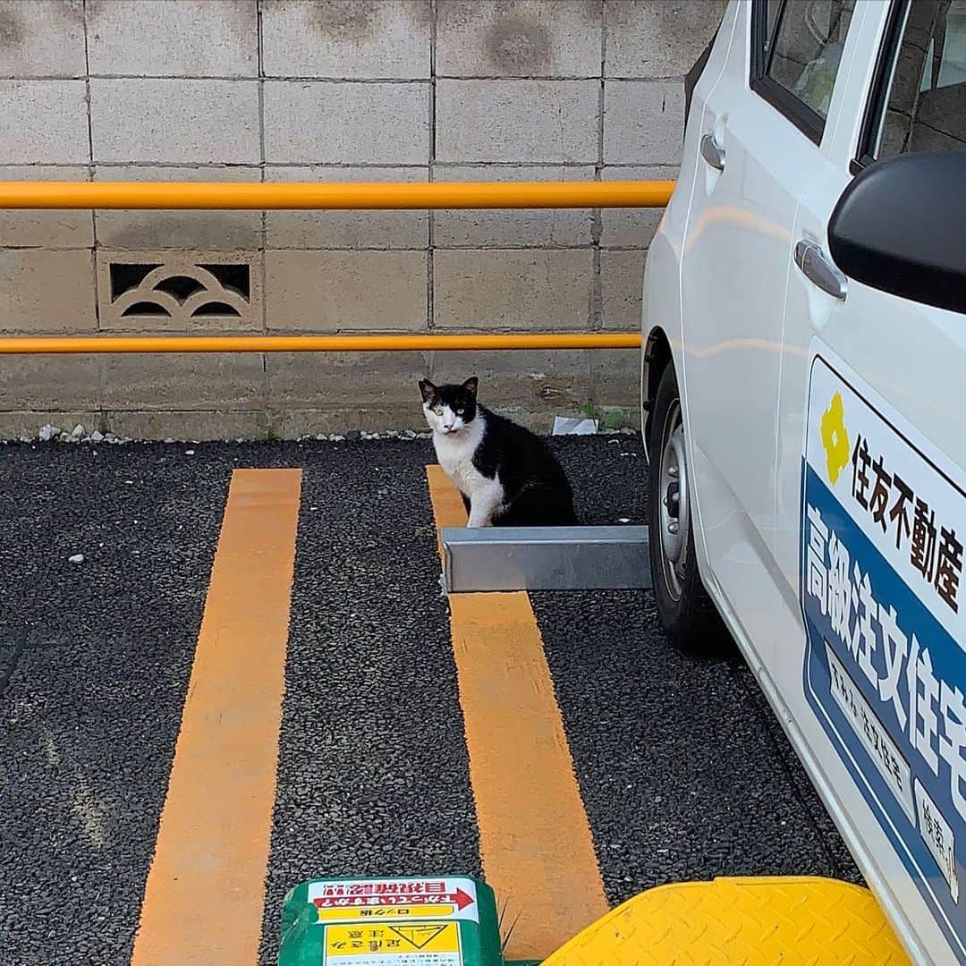 Kachimo Yoshimatsuのグルメインスタ