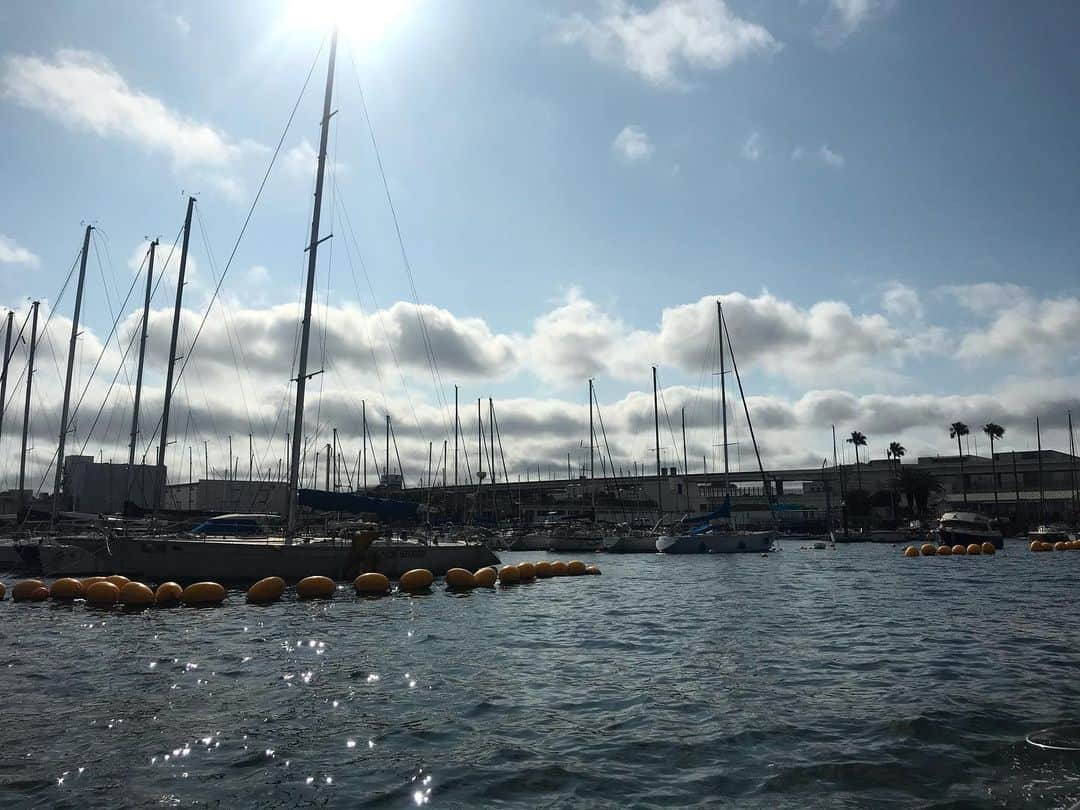 青木茉里奈さんのインスタグラム写真 - (青木茉里奈Instagram)「⛵️ 今日は、初めて釣りに行って来ました🎣⛴ ずっとやってみたいとは思っていたのですが、本当に全くの初心者なので、今日は1匹でも釣れたらいいなと思っていました！でも、1から丁寧に教えて頂いたおかげでなんと、15匹程釣れました🙌🏻✨ 今日は珍しくこんなに波が荒れていたそうで、最初の方は少し船酔いしましたww 一度に2匹釣れた時は凄く嬉しかった(≧∀≦)🧡明日からまた⛳️🏋️‍♀️頑張ろう✨釣り方忘れないうちにまた行けたらいいな✨ ・ ・ ・ #初体験 #釣り #アジ釣り #🐟 #横浜 #磯子」7月19日 17時28分 - marinaaoki28