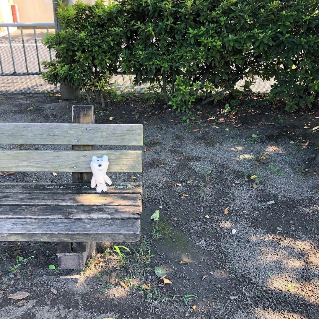 合田経郎のインスタグラム：「しばらくは Go To 近所 だね。 #あおしろう」