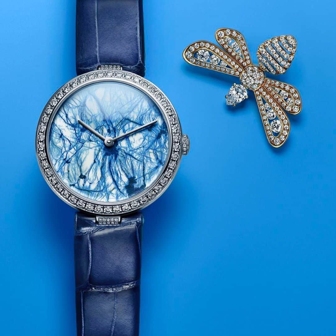 Chaumetさんのインスタグラム写真 - (ChaumetInstagram)「In Chaumet’s vibrant garden, precious bees gather the exceptional ornemental stones dials of Les Pierres de Rêve de Chaumet collection. #Chaumet #ChaumetJardins #PierresdeReve #ChaumetWatches」7月19日 18時06分 - chaumetofficial