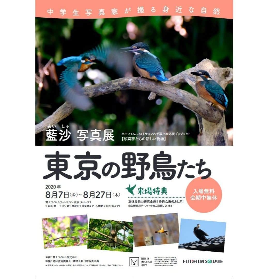 志葉玲のインスタグラム：「中学生写真家・藍沙さんの写真展ポスターできました！マネージャーの志葉も楽しみ（＾＾） #写真展　#夏休み　#イベント　#野鳥　#動物写真」