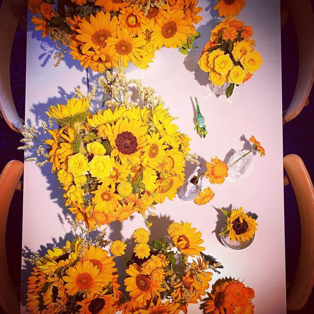 KOKIAのインスタグラム：「Today’s dinner!! Buon appettito!! #tokyo #japan #japon #kokia #photography #歌手 #コキア #insta #art #beautiful #picoftheday #follow #女性 #ソングライター #photooftheday #woman #jmusic #ボーカリスト #singer #songwriter #jpop #vocalist #voice #声 #ライブ #live #綺麗 #日本 #flowers」