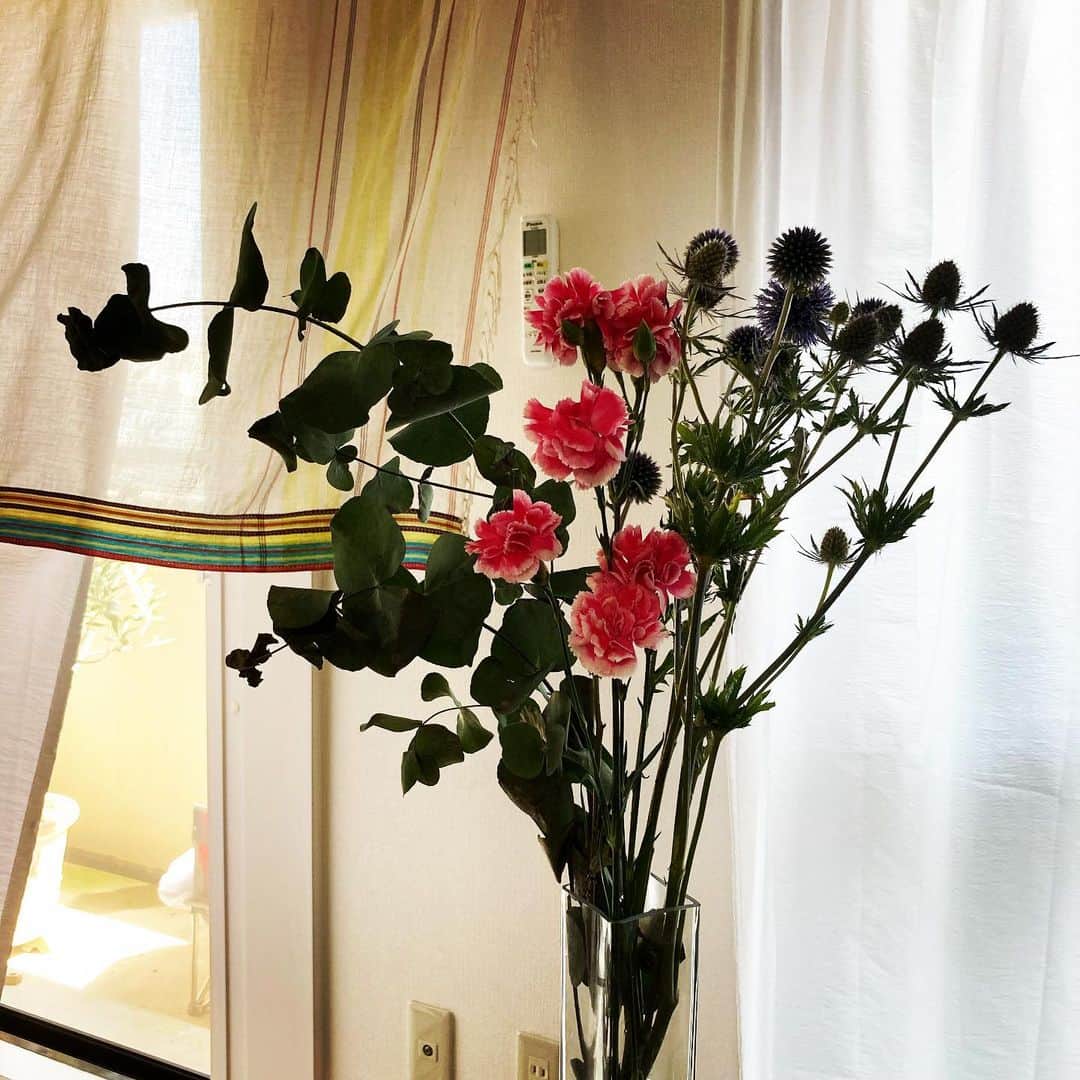 久保ミツロウのインスタグラム：「いつも行く花屋さんに寄ってその時の気分で花を選ぶ。今回はトゲトゲした花とユーカリの葉になり、少しダークすぎるか…と思いながらお会計したら、花屋のお兄さんがサービスですってピンク色のカーネーションを足してくれた。 ありがとうやで💐 トゲトゲしたやつはドライフラワーにもなって日持ちする好きな花です。」