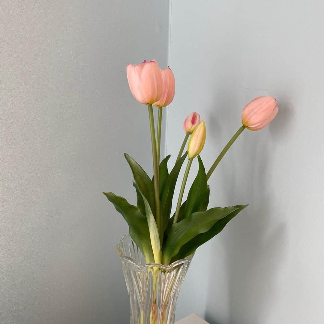 ひよんのインスタグラム：「🌷🌷🌷 ㅤㅤㅤㅤㅤㅤㅤㅤㅤㅤㅤㅤㅤ 可愛いチューリップ💕 造花だけど。ㅋㅋ」