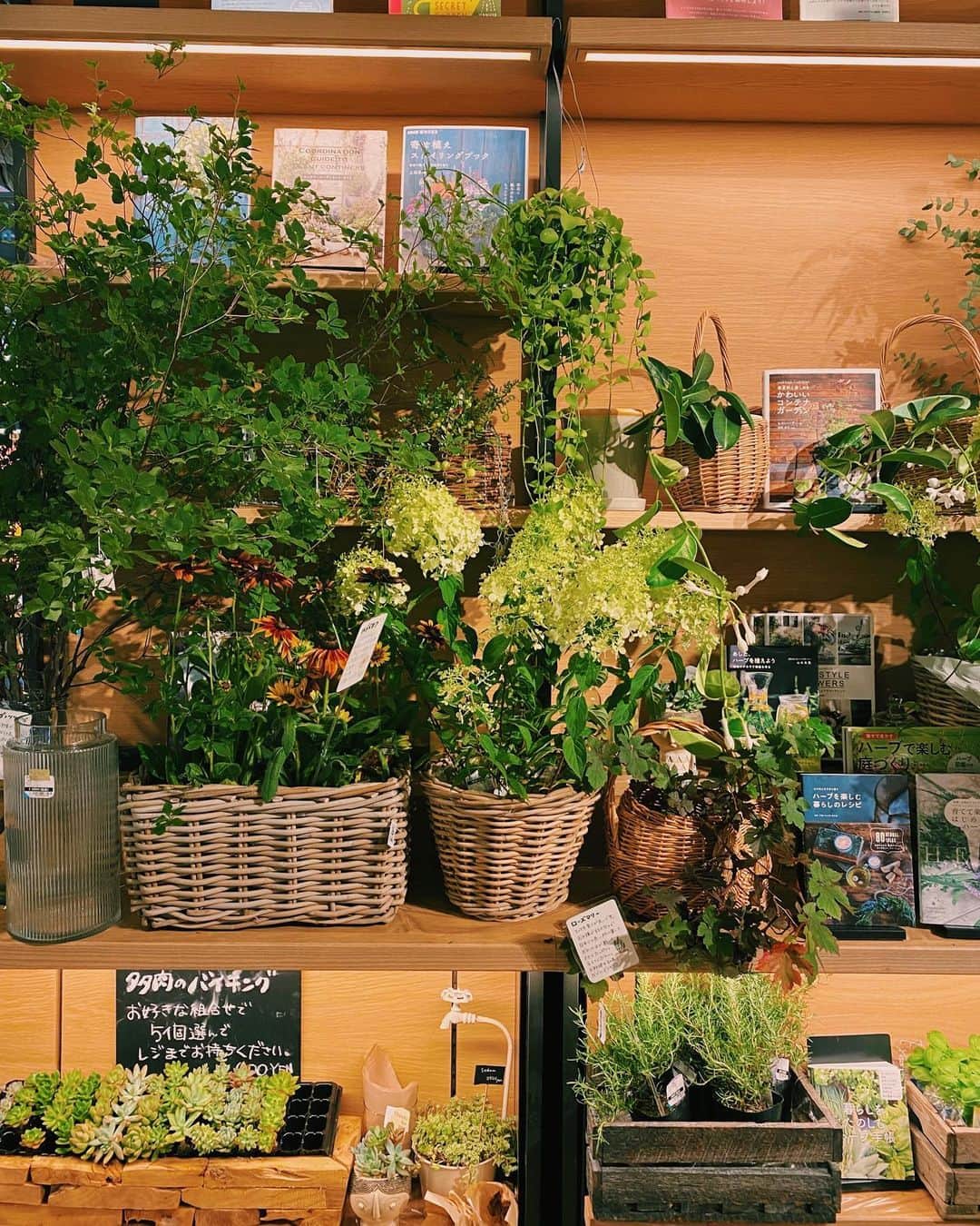 柏の葉 T-SITEのグルメインスタ