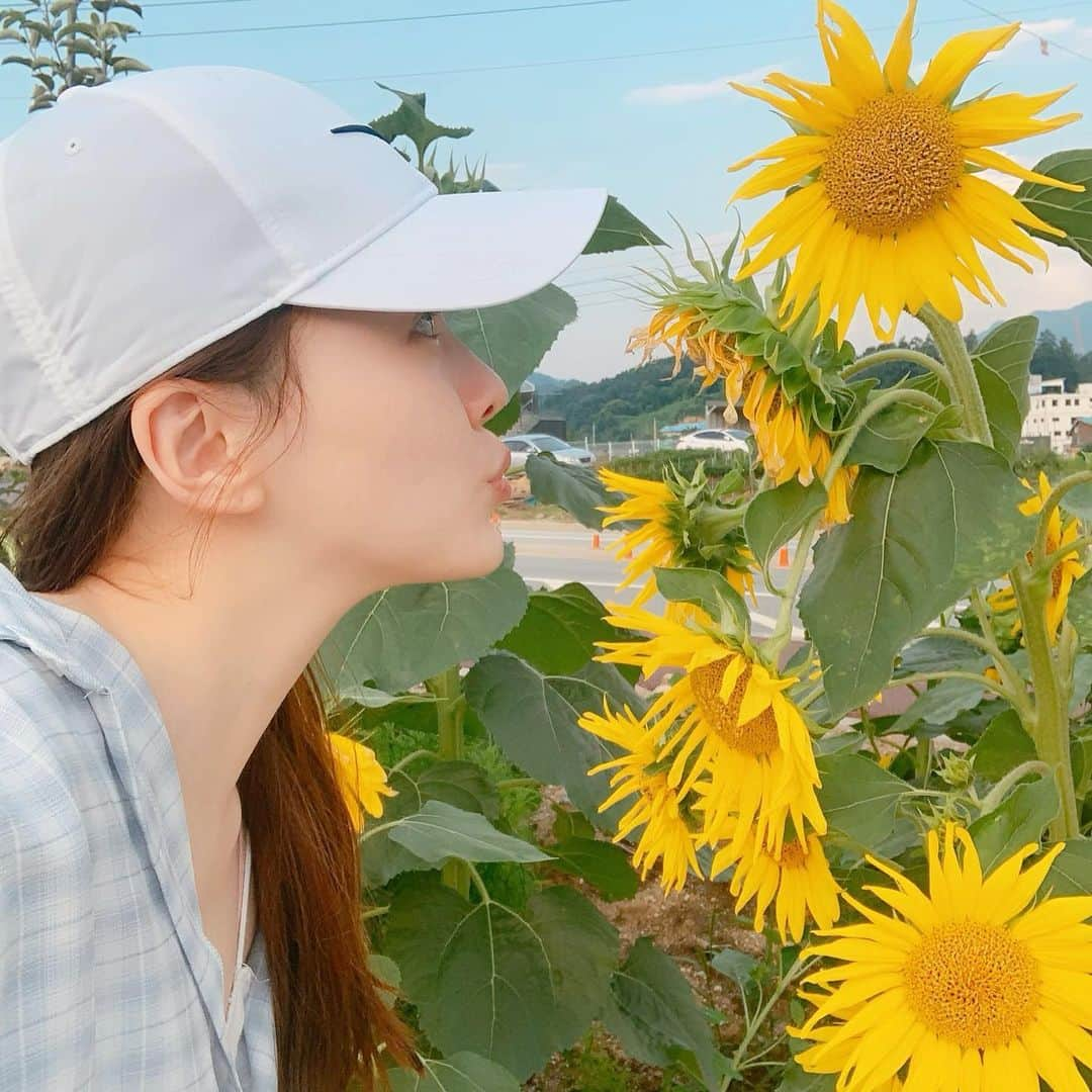 ハヌルさんのインスタグラム写真 - (ハヌルInstagram)「🌻🌻쌩얼이지만 ㅋㅋ 해바라기 넘이뽀서 찍었어🌻」7月19日 20時43分 - haneulina