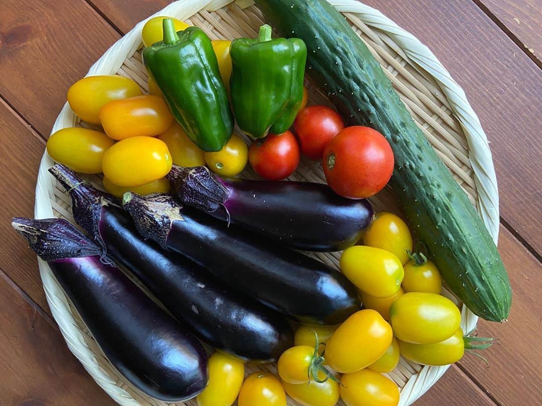 のインスタグラム：「涼平ファームで採れた野菜たち。  来年は農場を拡張して、物販で売るわ。 法外な値段で。  #涼平ファーム #家庭菜園 #野菜 #ナス #トマト #ピーマン #きゅうり #いただきます #無農薬」