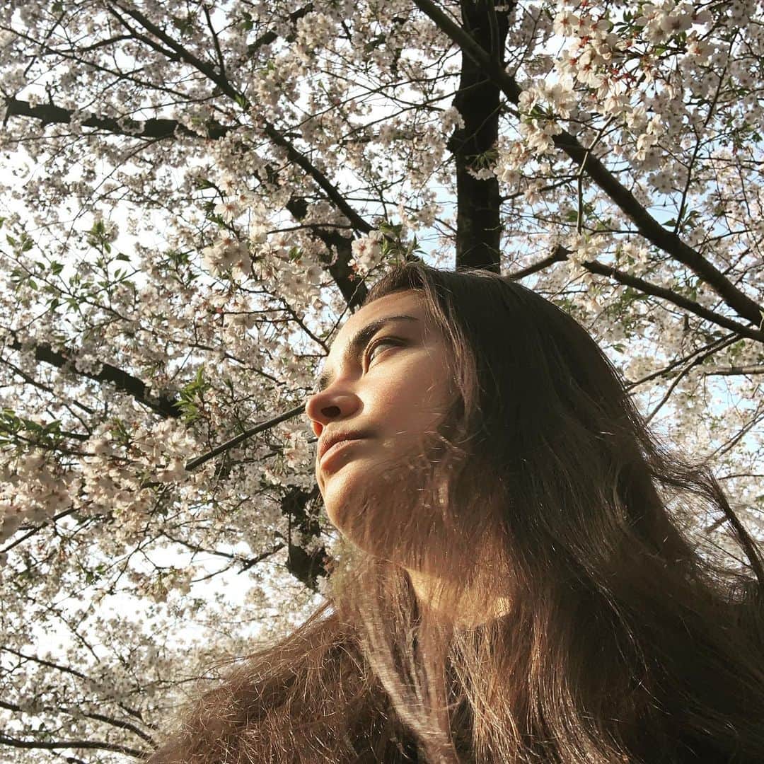 加賀美セイラさんのインスタグラム写真 - (加賀美セイラInstagram)「春馬へ 優しくて、ナイーブで、ストイック みんな大好きだったょ。愛されてたよあなたは。仲良くしてくれてありがとう。 セイラは泣いてばっかりだけど、大好きだょ。春が来る度、毎年思い出すょ　#桜が咲くたびに #RIP #HarumaMiura」7月19日 20時57分 - serakagami