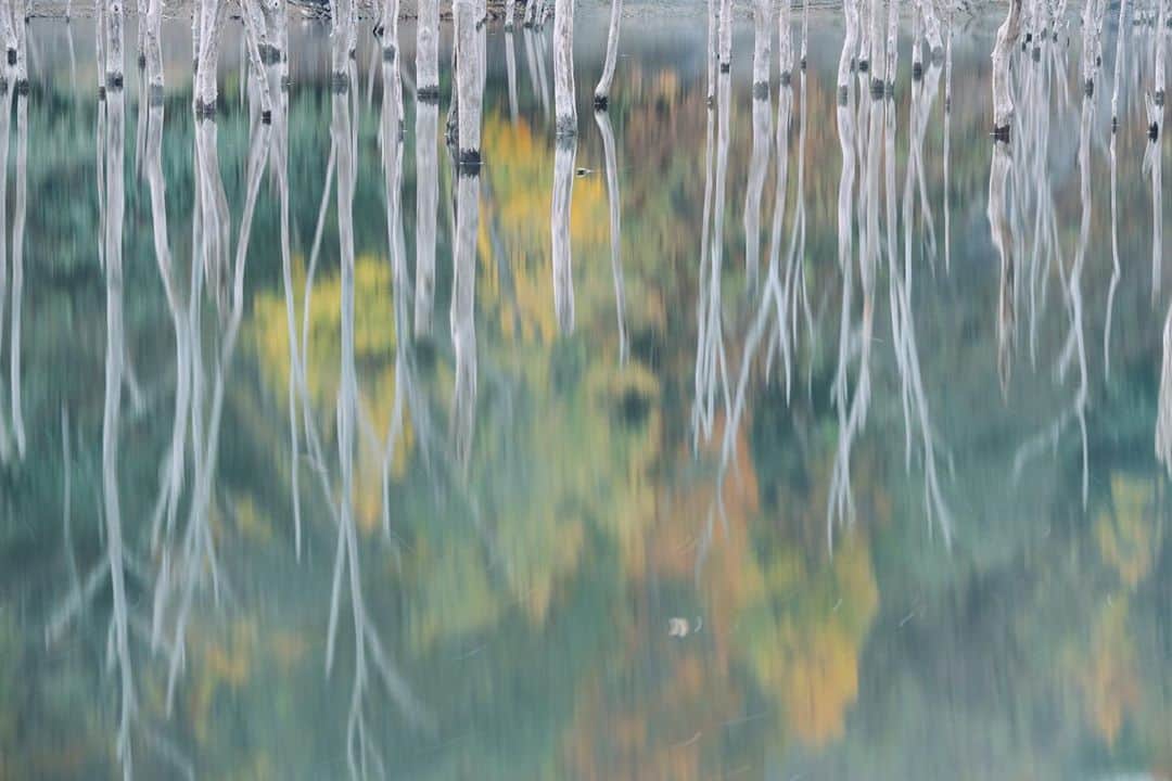 Hikaruのインスタグラム：「Favorite place. .  I'd like to go.  . . . #北海道 #instagram #東京カメラ部 #tokyocameraclub #natgeo #bealpha #sonyphotography #pashadelic #team_jp #bestjapanpics #natgeo #ig_japan #natgeoyourshot #yourshotphotographer #myrrs #hellofrom #naturephotography #ig_worldclub_sky  #1x #landscapephotomag #landscapelovers #lovers_nippon #visitjapanjp #bbctravel #art_of_japan #splendid_earth  #DiscoverwithAlpha #japan_lLC #A7RM3 #SEL100400」