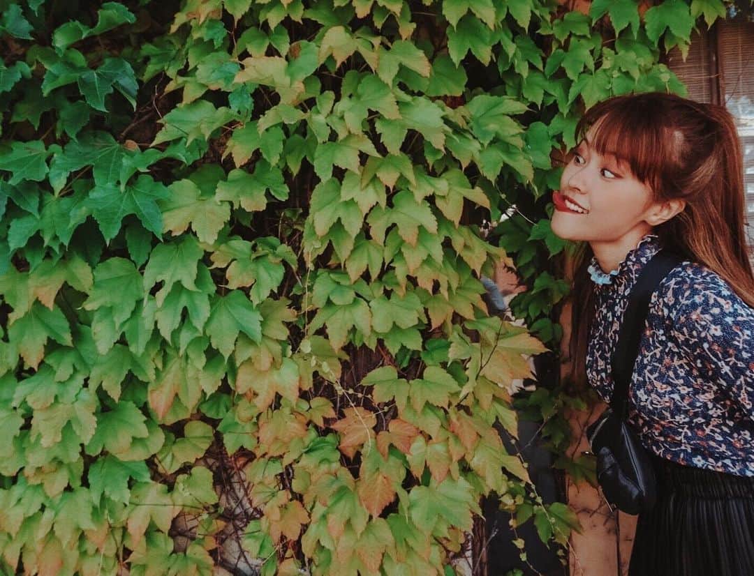 MiracleVellMagicのインスタグラム：「you know i love plants. 🌿 植物への愛が止まらなくって！緑を見ると興奮して！ついこんな顔になってしまって！！！🤪 . . #安心してください舐めてません」
