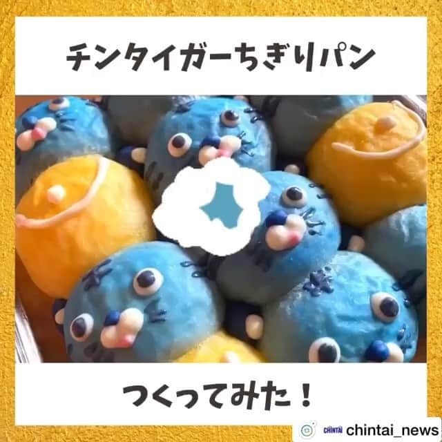 のインスタグラム：「チンタイガーでおなじみのCHINTAI様 @chintai_news がリナブルーをご活用のチンタイガーのちぎりパンを作っていらして、それがステキな記事になっています✨✨ . . 記事を読みながら、つい声を出して笑ってしまいました！🤣🤣 . . 作る過程では、以前チンタイガーの食パンを作られた @izuyo0719 様からのアドバイスも💡  ぜひCHINTAI様のアカウントから記事をチェックしてみてくださいね！  #チンタイガー #ちんたいがー #CHINTAI #キャラクターパン #キャラパン #キャラフード  #手作りパン #パン作り#パン作り好きな人と繋がりたい #パン作り記録  #ぱんすたぐらむ #手作りパン記録  #リナブルー #スピルリナ青 #植物由来 #スピルリナ #スーパーフード #spirulina #linablue #bread . . ↓ . チンタイガーちぎりパンつくってみた💙﻿ ﻿ CHINTAIのマスコットキャラクター「チンタイガー」で、話題のちぎりパンに挑戦！﻿ ﻿ 材料や作り方は、ぜひ記事をチェックしてみてください😻﻿ ﻿ 記事の詳細はプロフィールTOPのURLよりチェック🛫﻿ ﻿ ﻿ #chintai_special﻿ #チンタイガー﻿ #ちぎりパン」