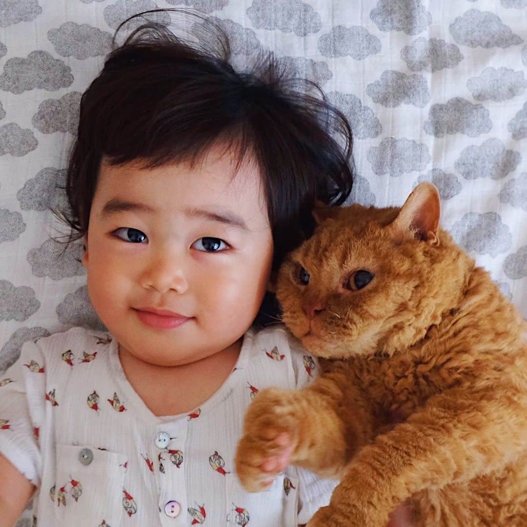 ギネス & ピムスのインスタグラム