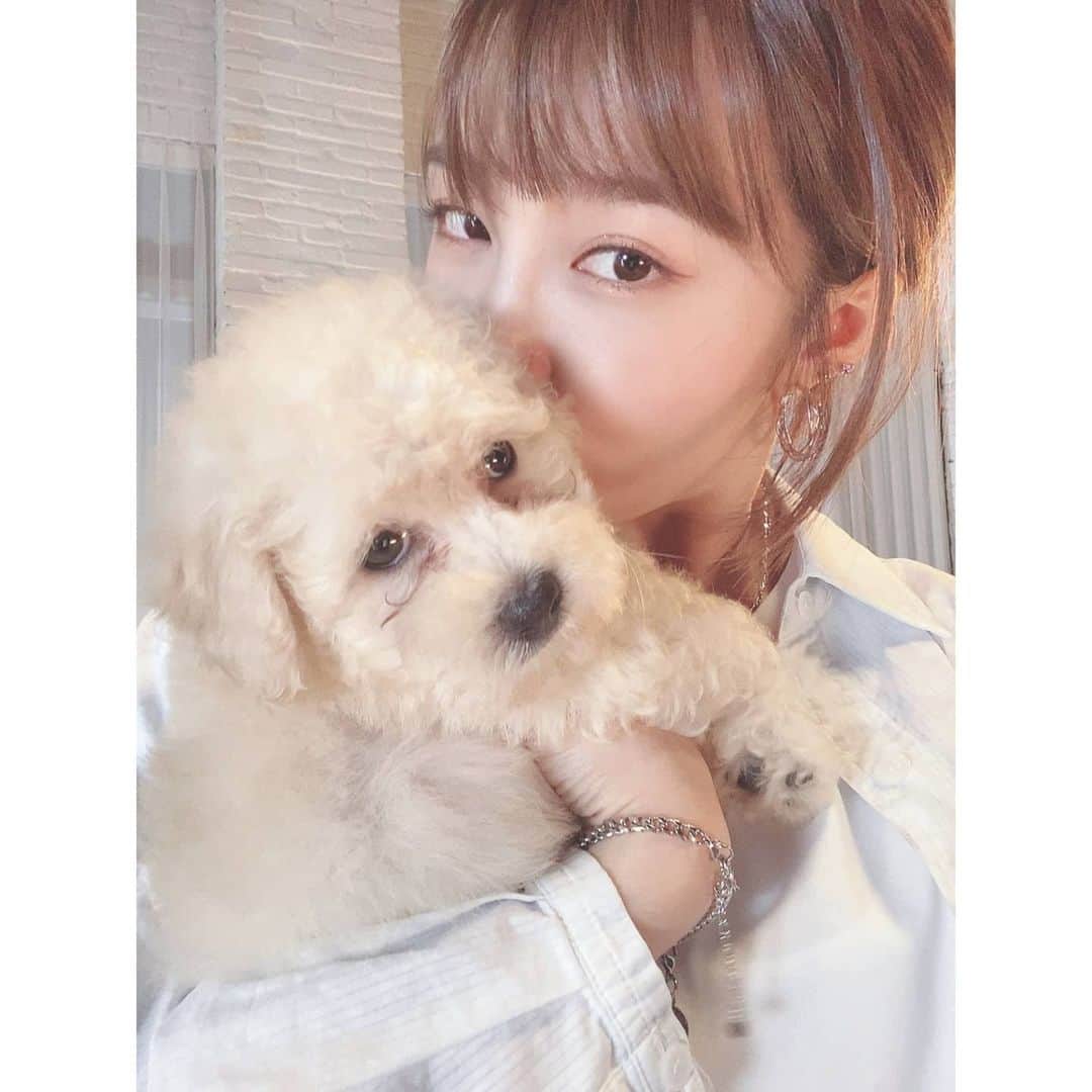 Apinkのインスタグラム