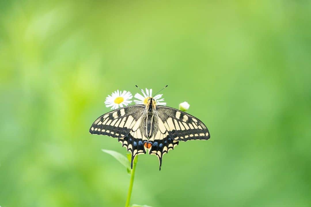 山人のグルメインスタ