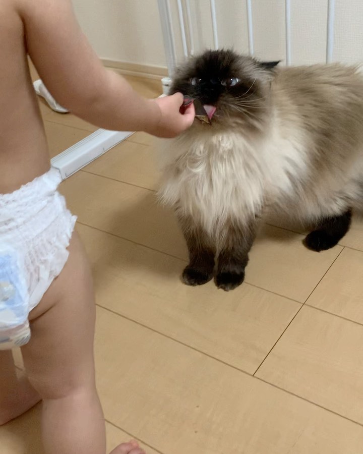 plumeのインスタグラム