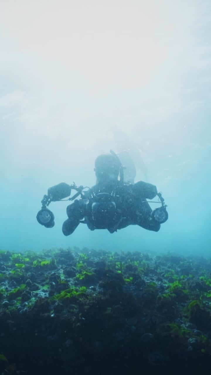 ドゥラメールのインスタグラム：「“Never underestimate your power as an individual to make a real difference in marine conservation.” Ocean photographer and #BlueHeartAmbassador @thomaspeschak inspires us to stay hopeful and take action to help protect the ocean. #LaMerBlueHeart」