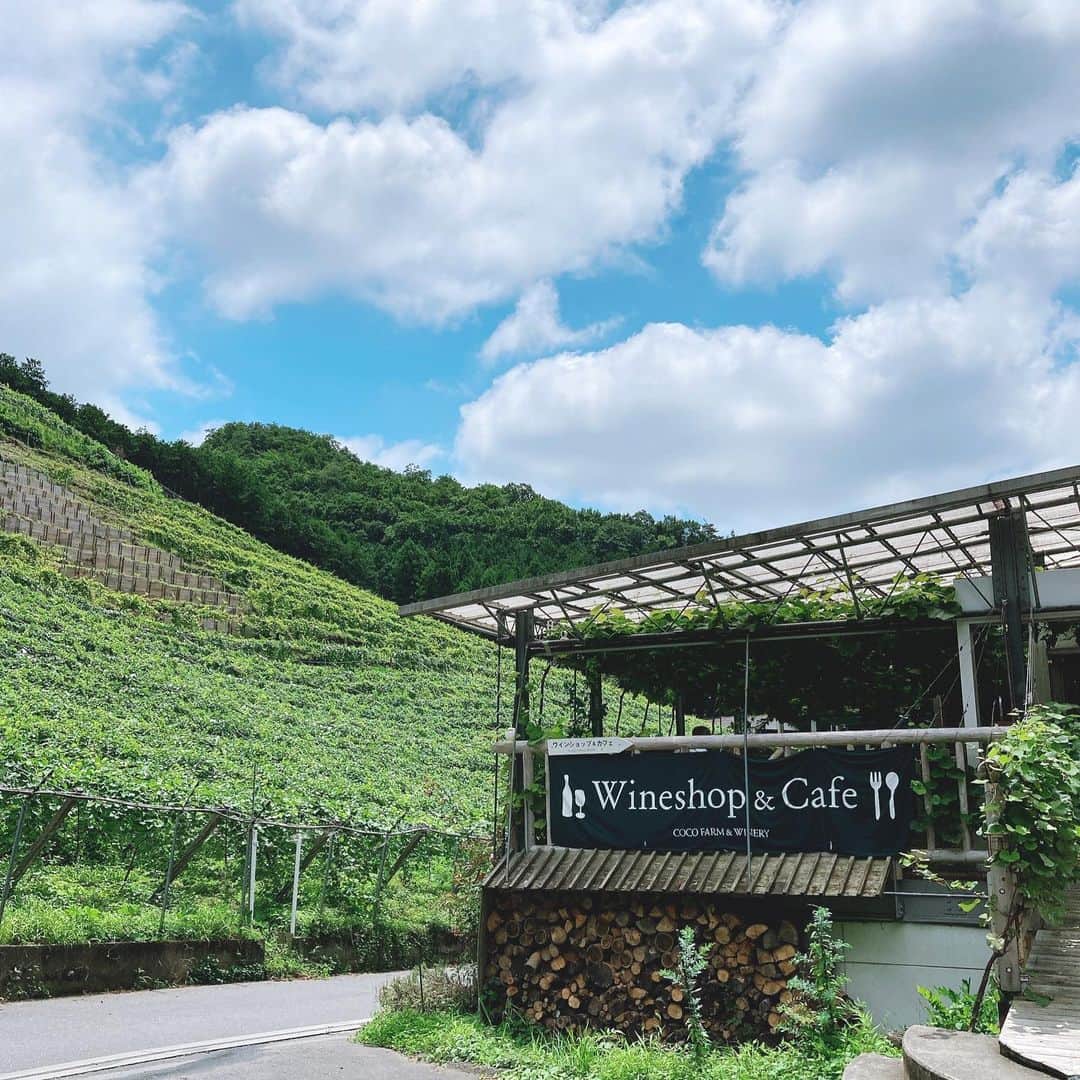 milleprintemps Japanのグルメインスタ