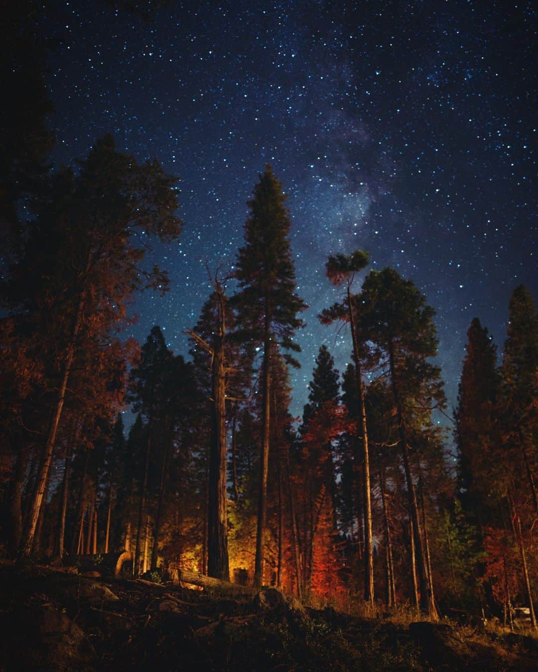Adam Senatoriのインスタグラム：「Stardust」