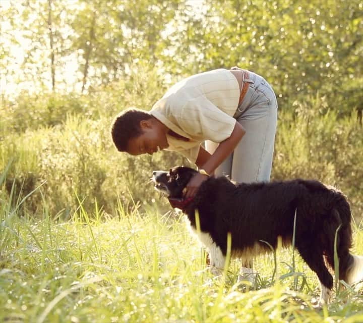Andrew Knappのインスタグラム：「A dreamy coffee fuelled summer sunrise with the amazing music maker/actor/model/dog whisperer @wamboii_ and the boys. Shot for @ripleesranchofficialsite 💛💛💛」