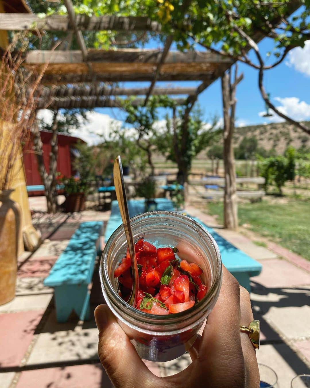 マリア・シャラポワのインスタグラム：「Summer dreams in a jar☀️ Came for the wine, left with a very satisfied sweet tooth. 🍓🍇」