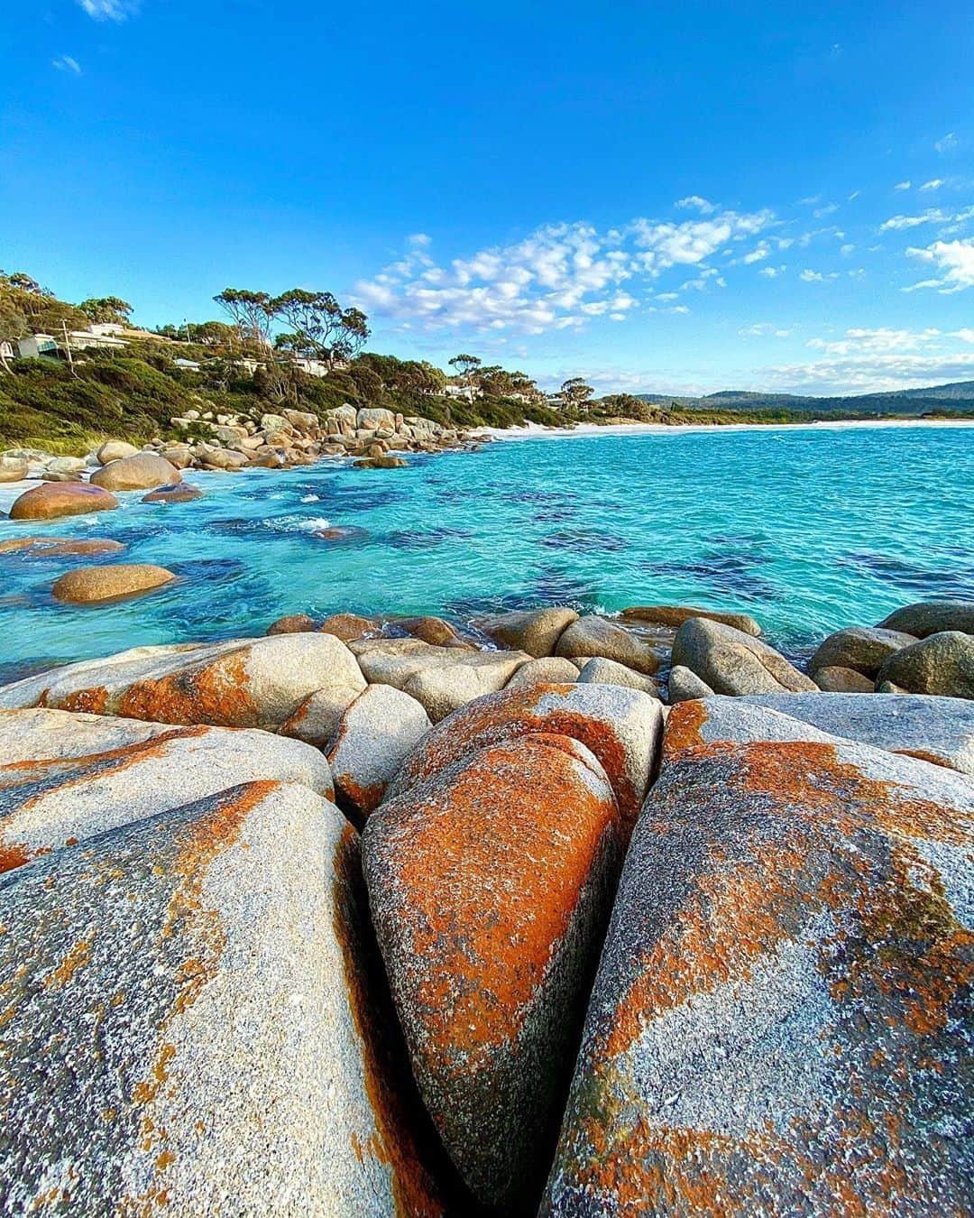 Australiaさんのインスタグラム写真 - (AustraliaInstagram)「Because when you stop and look around, @tasmania is pretty amazing 💙 @the_h_man3 captured this shot of the #BayofFires’ coastline in @eastcoasttasmania, an area that is known for its turquoise waters and orange lichen-covered granite boulders. If you’re a fan of picturesque scenery, secluded #beaches and #wildlife encounters, then a visit to this spot should be at the top of your bucket list! Tip: take one of the walking tracks that skirt the 50-kilometre water's edge and feel like you’re the only person to have ever set foot here - it truly is bliss! #discovertasmania #TassieStyle #eastcoasttasmania」7月20日 5時00分 - australia
