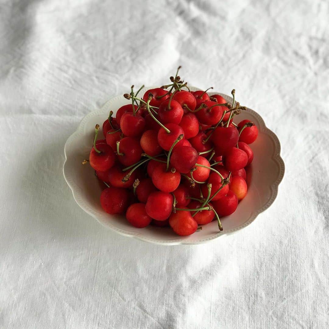 福田里香さんのインスタグラム写真 - (福田里香Instagram)「７月のCHERRYは紅秀峰🍒 ばら科の果物。 山形生まれのYさん、🍒ありがとう。 #cherry #紅秀峰  #ばら科の果物」7月20日 6時07分 - riccafukuda
