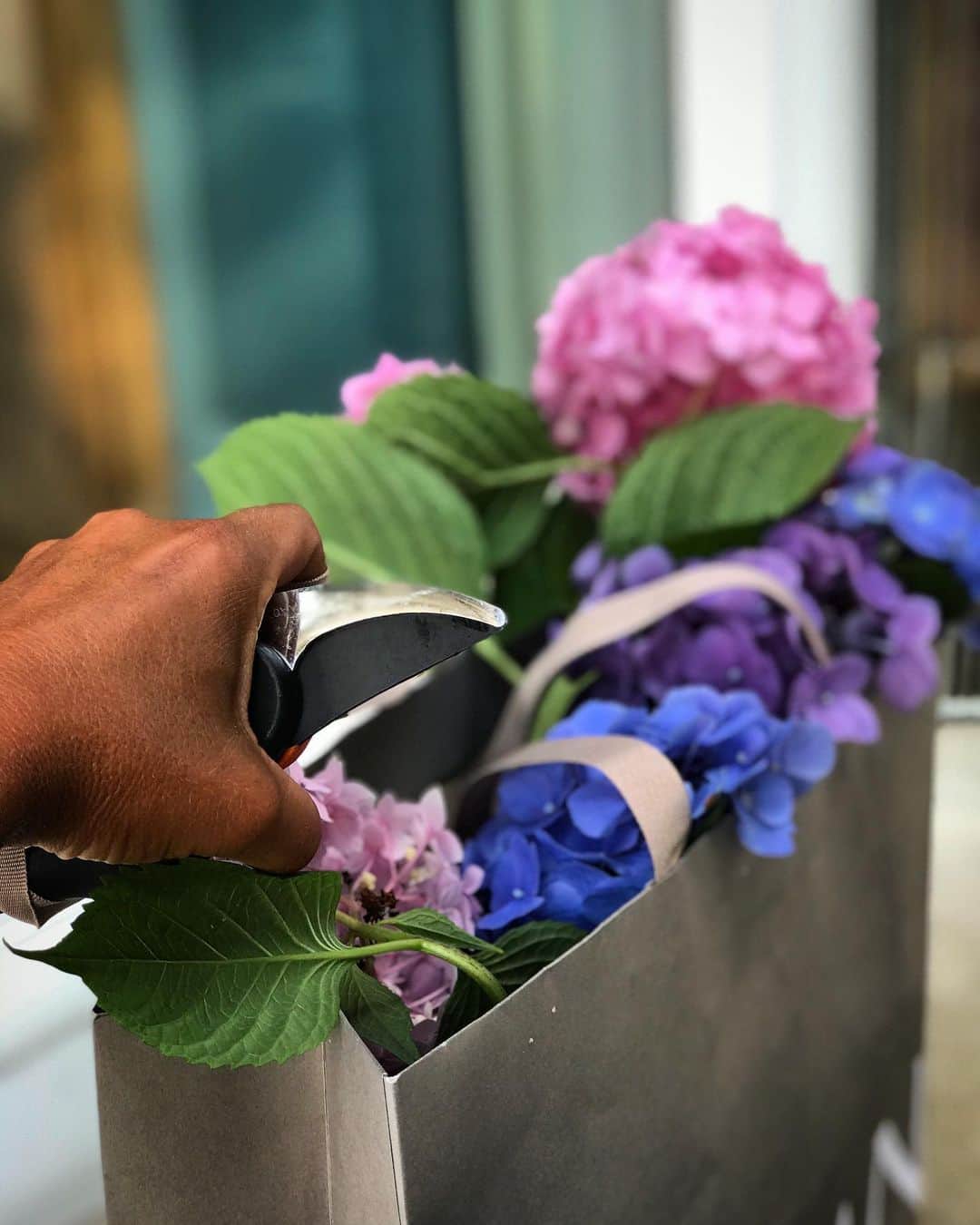 ヴァネッサ・ウィリアムスさんのインスタグラム写真 - (ヴァネッサ・ウィリアムスInstagram)「Sunday blooms from the garden 💐 #hydrangea」7月20日 6時54分 - vanessawilliamsofficial
