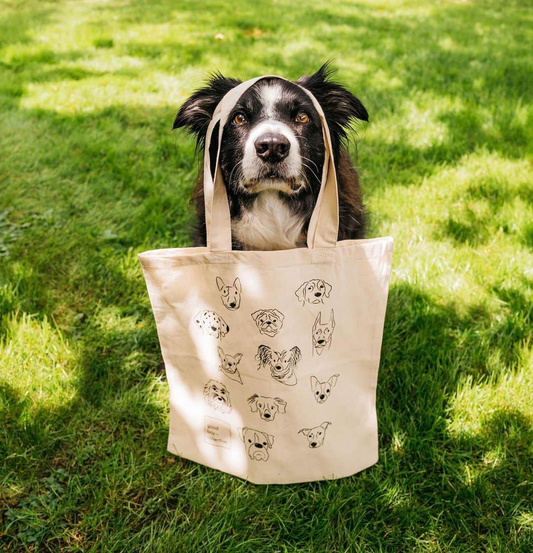 Andrew Knappのインスタグラム：「Sure we have the cutest pins. But @shopgoodboy has the cutest totes. With 100% going toward @dewcvancouver and @hogans.alley, you oughta get one or two. Buy it on their website! Do it! And wear it like Momo. This is the proper way to wear a tote, right?」