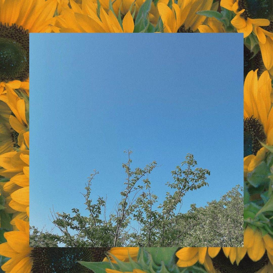 のインスタグラム：「☘G🌻M☘」