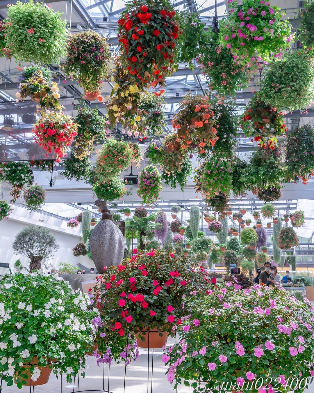 mani022400のグルメインスタ