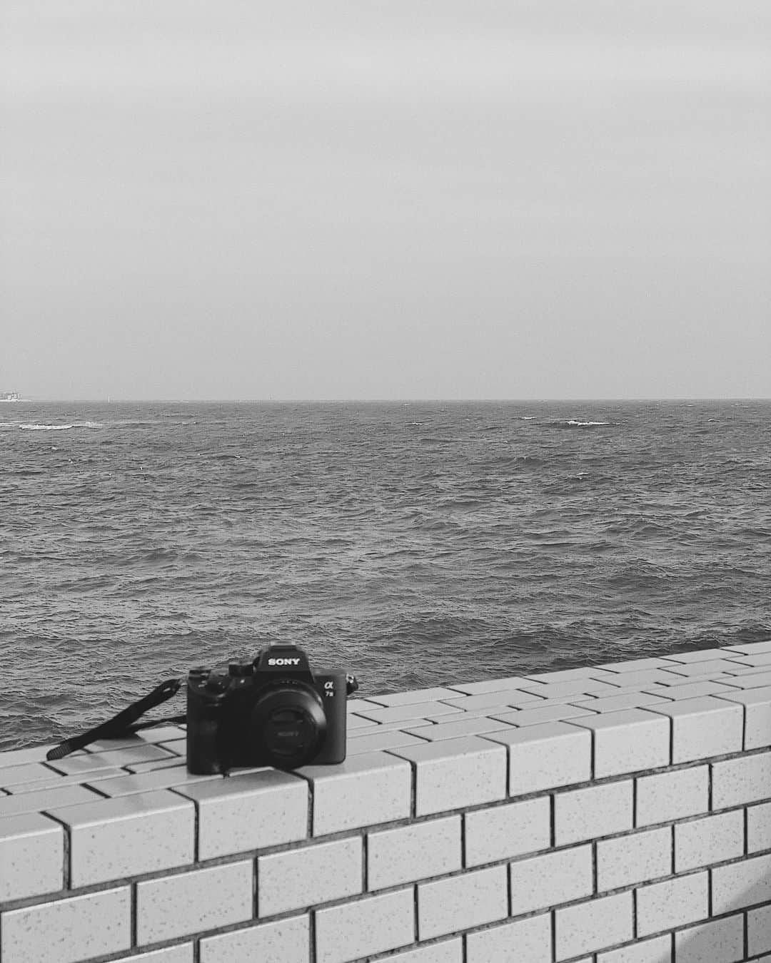 茉莉さんのインスタグラム写真 - (茉莉Instagram)「📷🌊 . . 自然は心を癒してくれる、🍃 いい思い出は心に残る。🐚 その素敵な瞬間を忘れたくないから、 人は写真を撮るんだと思う。🎞 シャッターを切る時、 人は何を感じて撮ってるんだろう… . 2020年はとても悲しいニュースが多すぎる。 ありきたりな言葉だけど、一緒に頑張ろう。 前を向いて生きていこうね。 . . . #カメラ#写真#どんな写真が好きですか#思い出を残そう#海#自然#camera#sonya7iii#summertime #🎞🐚」7月20日 18時31分 - mari._xx